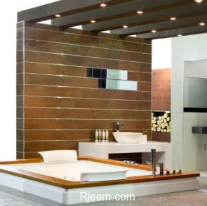 Contemporary bathroom with wooden walls and spa bathtub