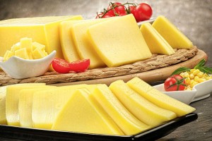 الجبنة الشيدر و فوائدها