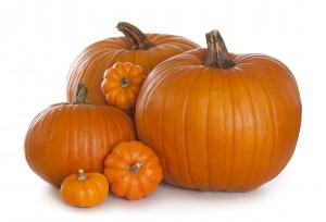 Group of pumpkins isolكل ما تريد معرفته عن بذور اليقطين او القرع وفوائده 