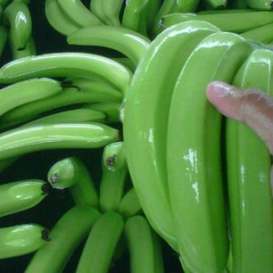 وصفة الموز الأخضر للخسارة الوزن 