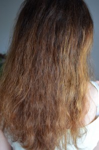 حلول طبيعية  للتخلص من جفاف الشعر