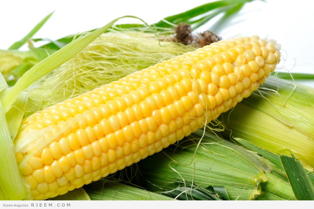 فوائد الذرة - تعرف على فوائد الذرة الصحية والعلاجية
