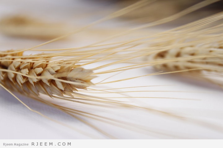 10 فوائد لزيت جنين القمح