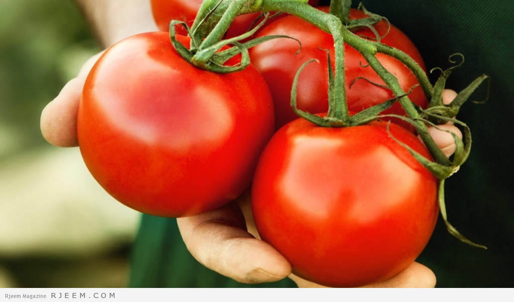 فوائد واضرار الطماطم