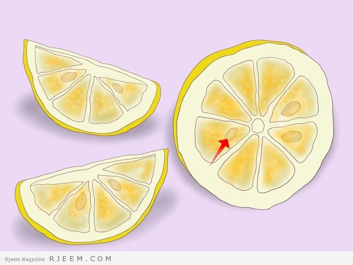4 وصفات جمالية لنبات الليمون