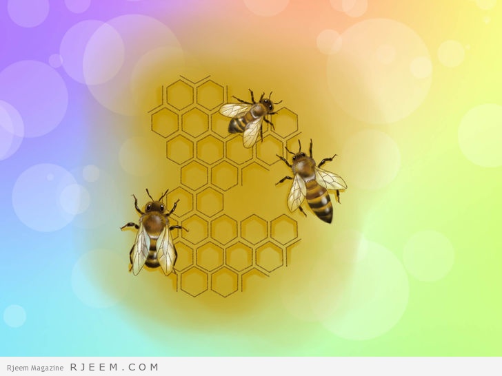 4 فوائد للعسل في خسارة الوزن