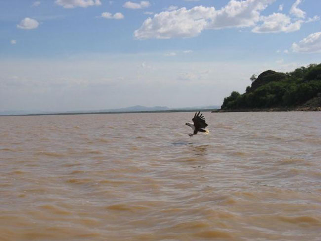 بحيرة توركانا في كينيا