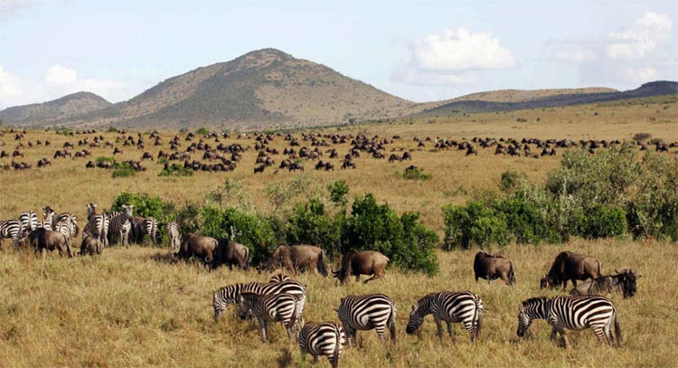السياحة في كينيا