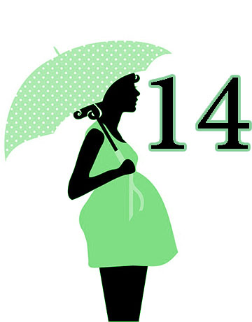 الاسبوع الرابع عشر للحمل 14 ونمو وتكوين الجنين ونصائح للحامل