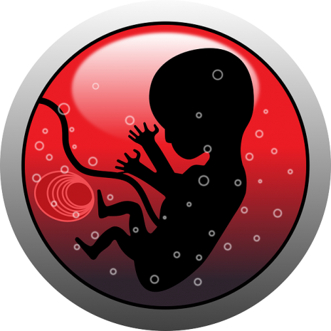 مراحل نمو وتكوين الجنين في الشهر الرابع من الحمل
