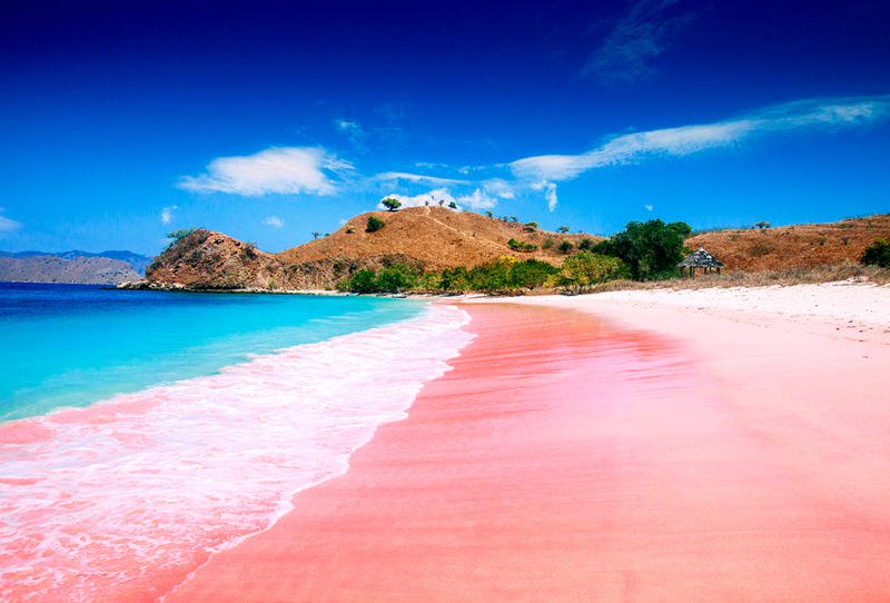 تعرف على الشواطئ الوردية الافضل لرياضة الغوص