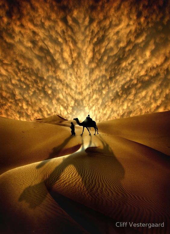 غروب الشمس في الصحراء