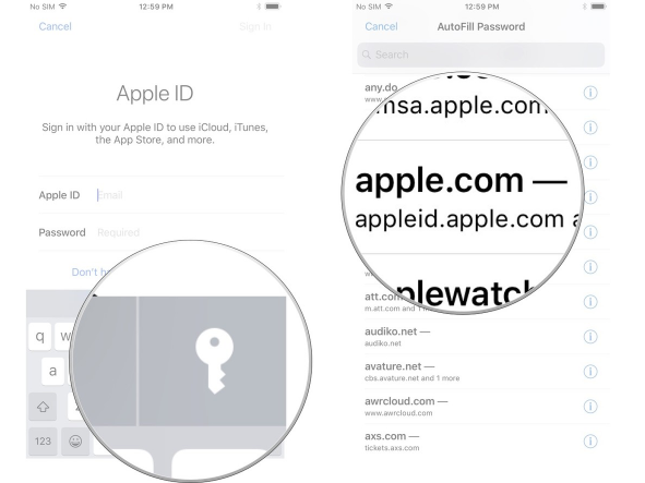 قم بتسجيل الدخول إلى iCloud باستخدام معرف Apple الخاص بك على iPhone أو iPad