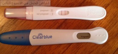 اعراض الحمل في الاسبوع الثاني