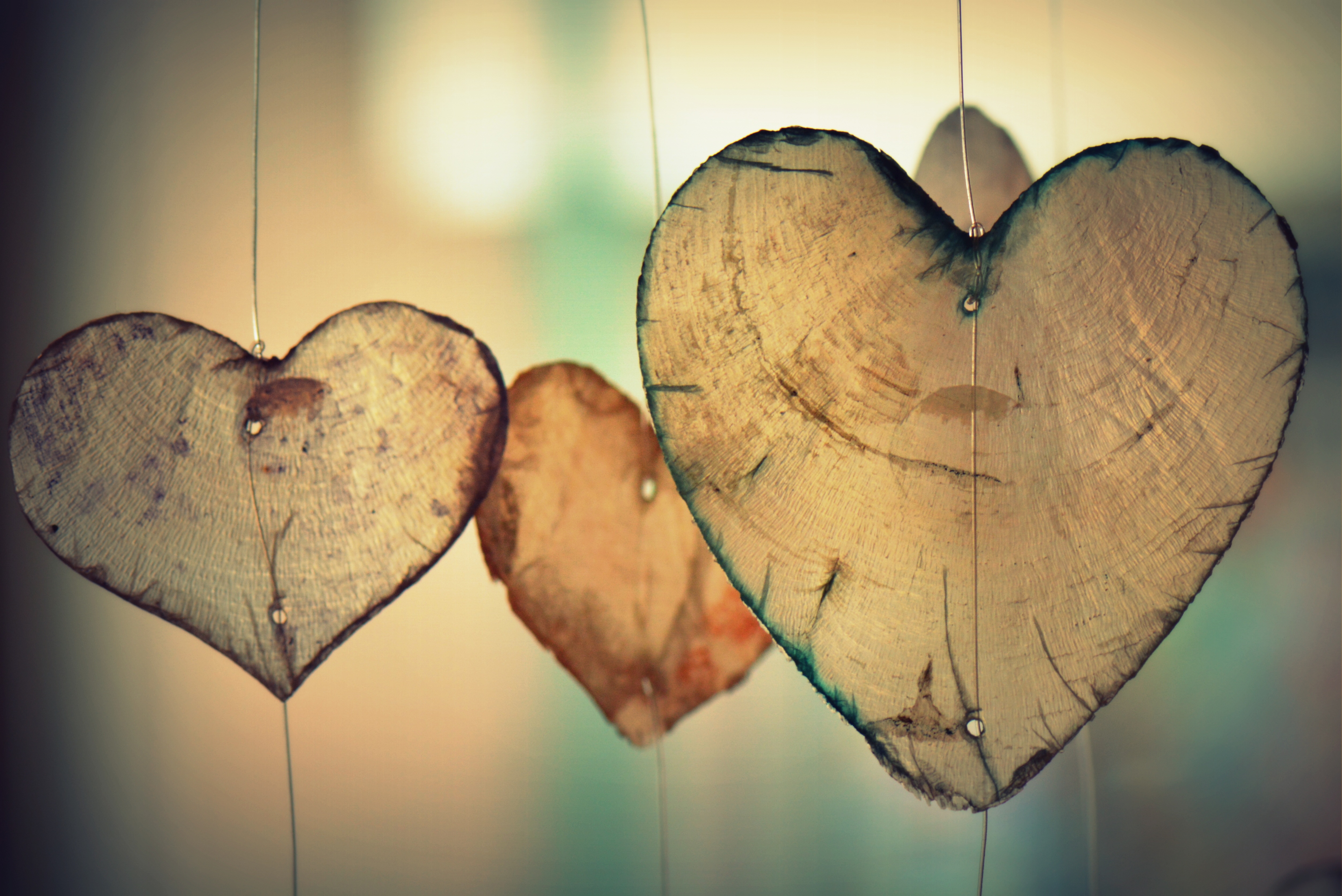 heart-love-romance-valentine.jpg (5013×3347)