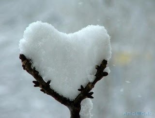 الحب الشتاء