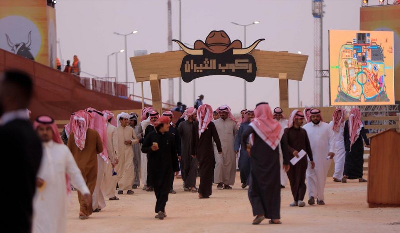 تحدي الثيران» بمهرجان الملك عبدالعزيز للإبل