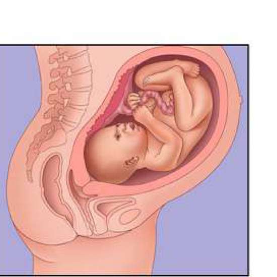 صورة شكل الجنين في الشهر التاسع