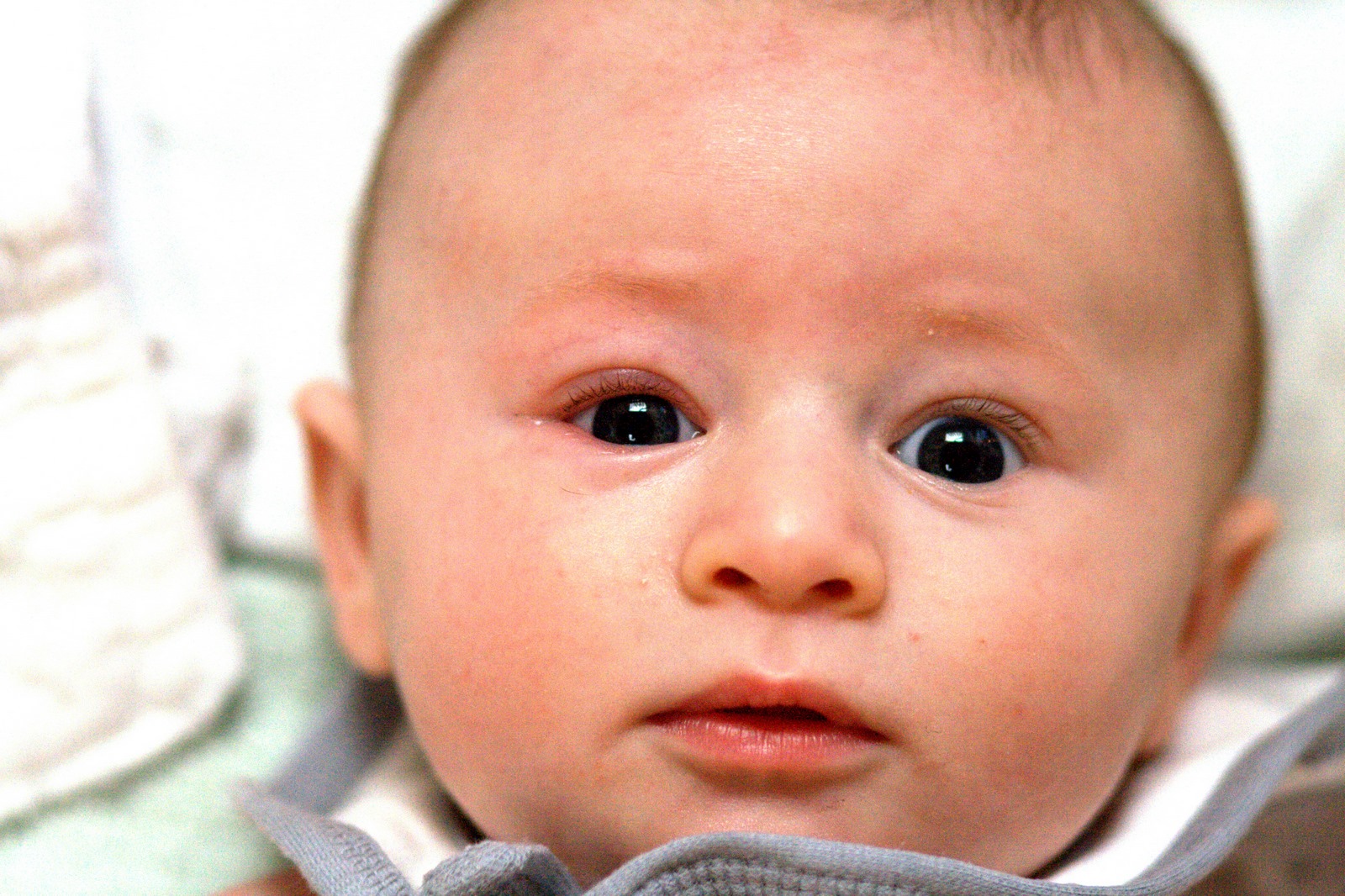 علاج التهاب العين عند الاطفال بالاعشاب