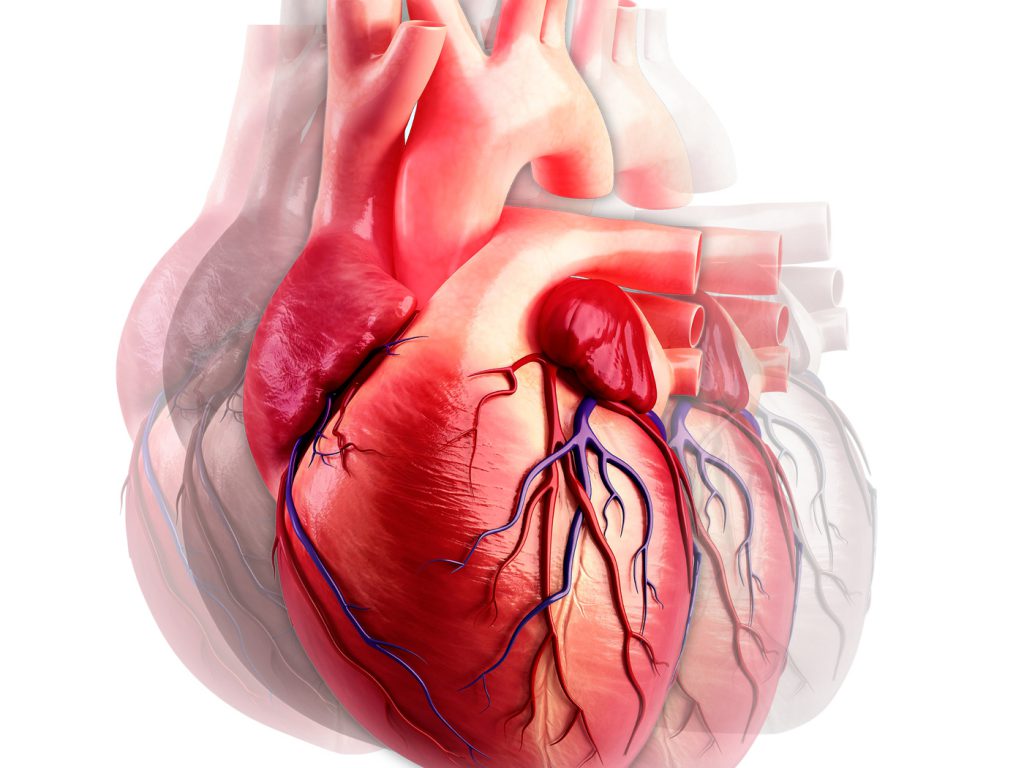 أعراض السكتة القلبية - مجلة رجيم