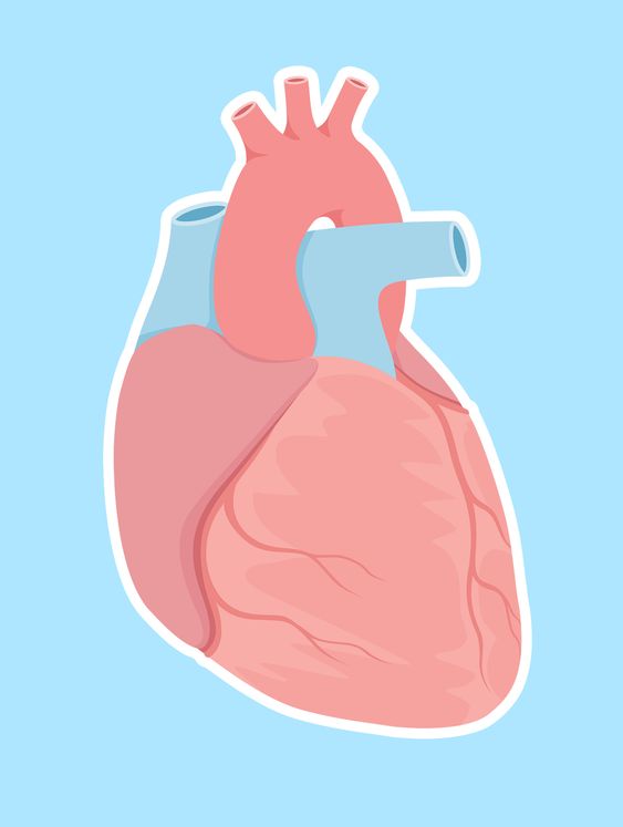 امراض القلب