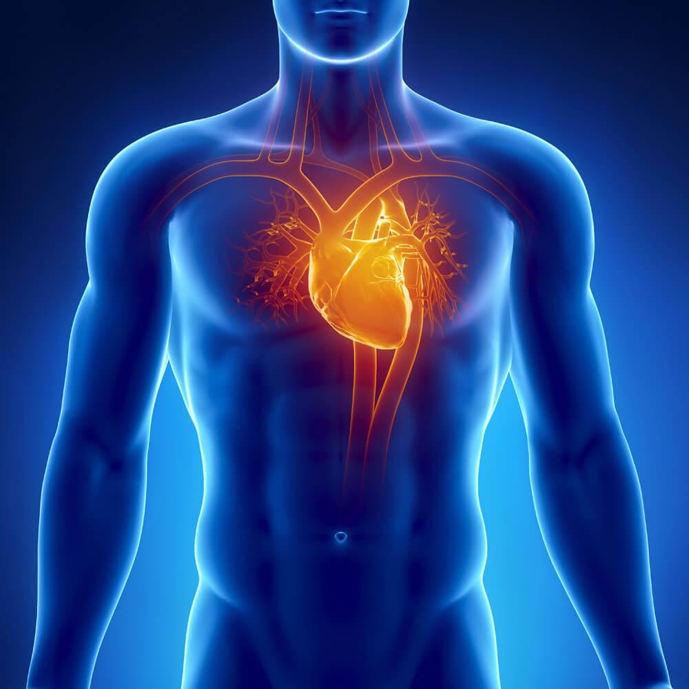 علاج زيادة ضربات القلب