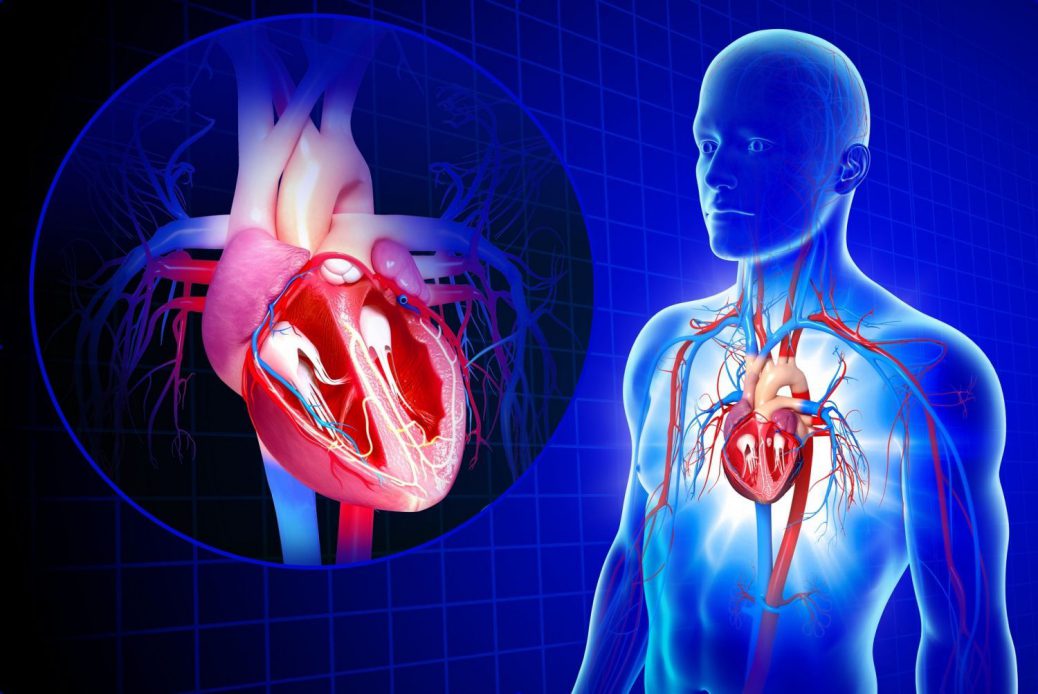 اسباب زيادة ضربات القلب المفاجئ vayppor