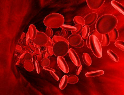 ما هو فقر الدم 