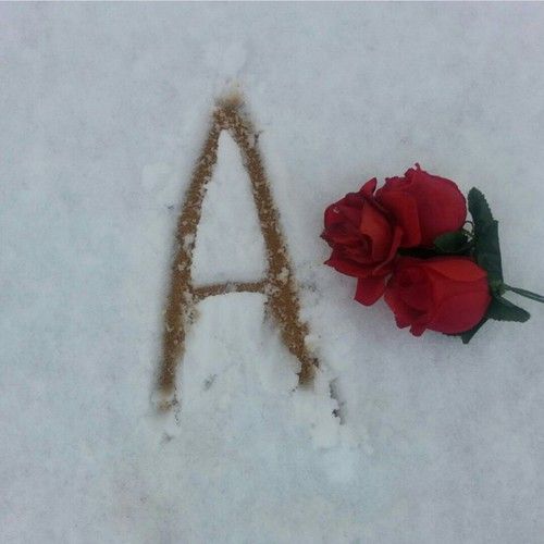 صور حرف a مع وردة مكتوب على الثلج