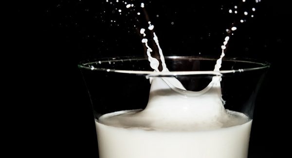 فوائد الحليب للقلب