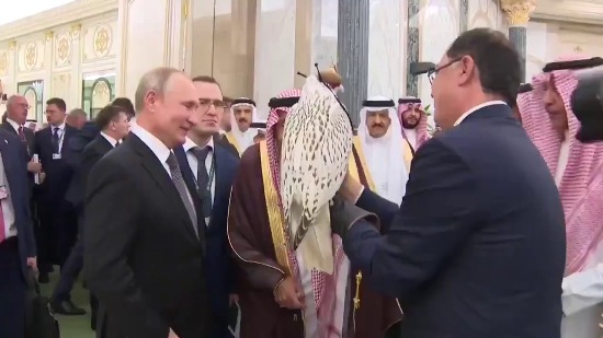 صور الصقر الهدية من بوتين للملك سلمان