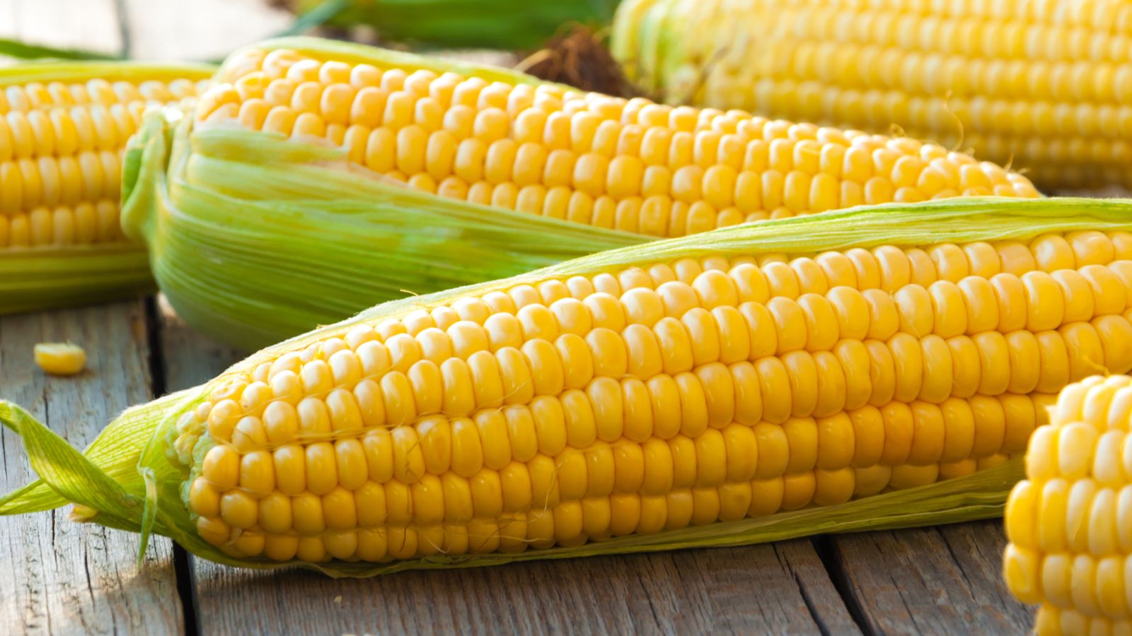 benefits of corn