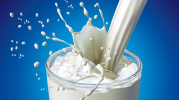 فوائد الحليب للصحة