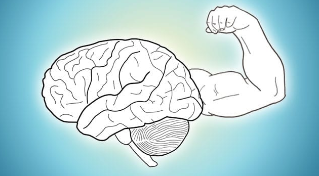 الدماغ هو احدى الأعضاء الفعالة والنشطة جداً في جسم الأنسان