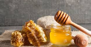 فوائد الصنوبر مع عسل النحل .