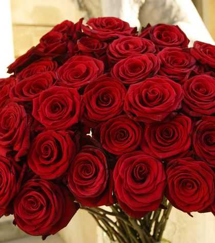 صور بوكيه ورد ملون , اجمل بوكيهات الورد الرائعه