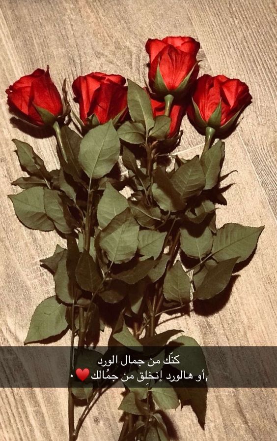 عبارات عن حب الورود مع أجمل الصور