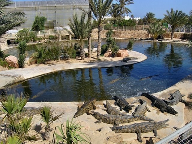 أجمل 7 حدائق و متنزهات شهيرة في دبي .