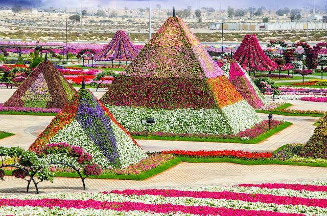 أجمل 7 حدائق و متنزهات شهيرة في دبي
