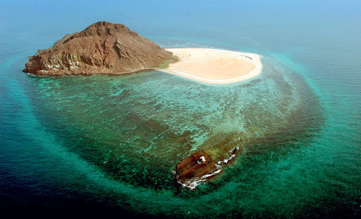 اجمل شواطئ مرجانية و رملية في جزيرة الفرسان .