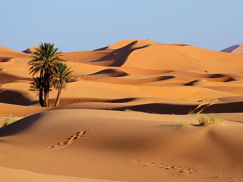 صحراء Desert