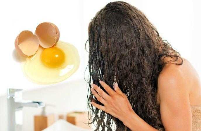 البيض لمنع تساقط الشعر 