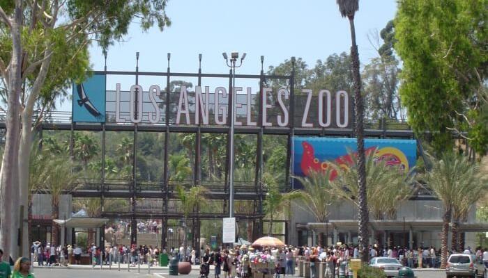 حديقة الحيوان لوس انجليس