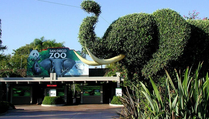 حديقة الحيوانات سان دييغو