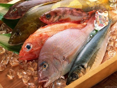 فوائد الاسماك و المأكولات البحرية