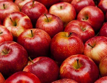 فوائد التفاح الاحمر و الاخضر .